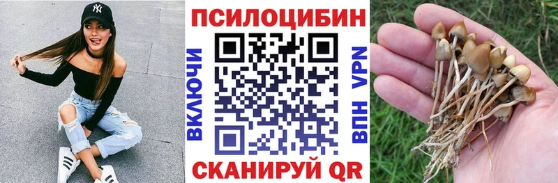 Псилоцибиновые грибы GOLDEN TEACHER Дербент