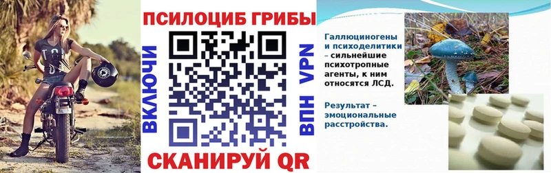 Псилоцибиновые грибы Magic Shrooms цена МЕГА tor Дербент